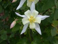 dscn1438_thumb.jpg