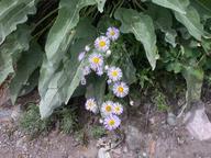dscn1448_thumb.jpg