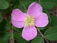 dscn1456_thumb.jpg