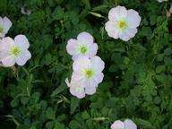 dscn0143_thumb.jpg