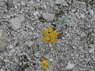 dscn1316_thumb.jpg