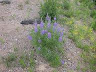dscn1423_thumb.jpg