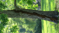 img_2958_thumb.jpg