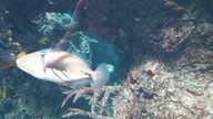20160904_135244_thumb.jpg