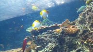 20160904_135258_thumb.jpg