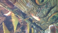 20160904_140024_thumb.jpg