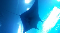 20160904_140950_thumb.jpg