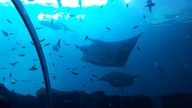20160904_141030_thumb.jpg
