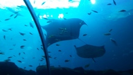 20160904_141032_thumb.jpg