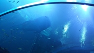 20160904_141048_thumb.jpg