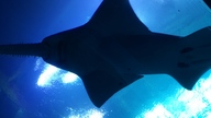 20160904_141151_thumb.jpg