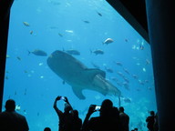 img_0020_thumb.jpg