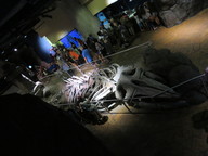 img_0021_thumb.jpg