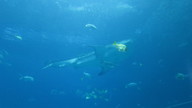 img_1206_thumb.jpg