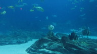 img_1208_thumb.jpg