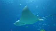 img_1211_thumb.jpg