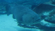 img_1213_thumb.jpg