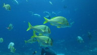 img_1216_thumb.jpg