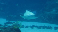 img_1219_thumb.jpg