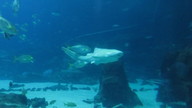 img_1221_thumb.jpg