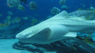 img_1224_thumb.jpg