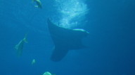 img_1226_thumb.jpg