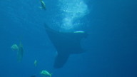 img_1227_thumb.jpg