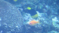 img_1264_thumb.jpg