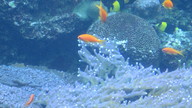 img_1265_thumb.jpg