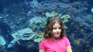 img_1267_thumb.jpg