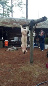 2012-01-21_08-28-13_654_thumb.jpg