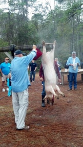 2012-01-21_08-30-52_442_thumb.jpg