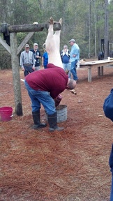 2012-01-21_08-32-43_178_thumb.jpg