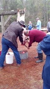 2012-01-21_08-35-15_60_thumb.jpg