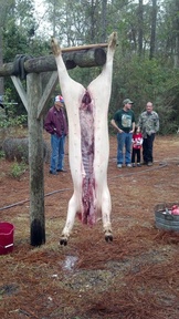 2012-01-21_08-44-14_771_thumb.jpg