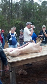 2012-01-21_08-45-15_292_thumb.jpg