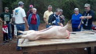2012-01-21_08-45-33_978_thumb.jpg