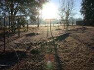 yard_frost_thumb.jpg