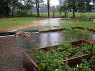 dscn2334_thumb.jpg