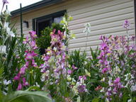 dscn2945_thumb.jpg