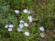dscn2946_thumb.jpg