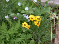 dscn2949_thumb.jpg