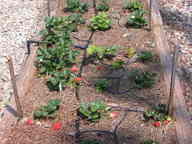 dscn2963_thumb.jpg