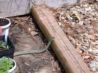 dscn2961_thumb.jpg