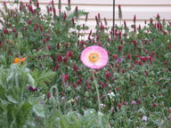 dscn2972_thumb.jpg