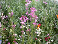 dscn2976_thumb.jpg