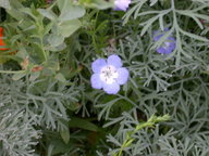 dscn2977_thumb.jpg