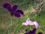 dscn2981_thumb.jpg