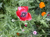 dscn2985_thumb.jpg