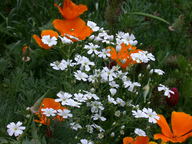 dscn2990_thumb.jpg